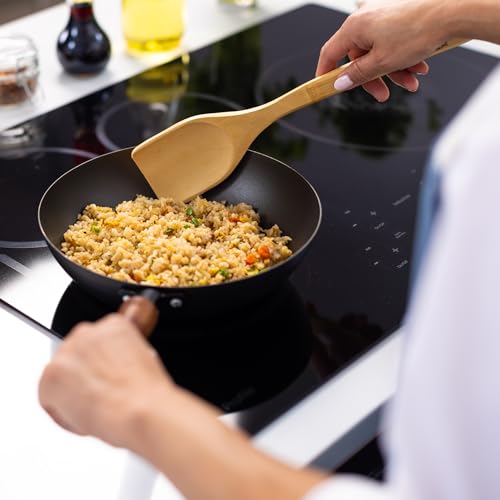 Classic Series 9.5 (9.5-Inch Stir Fry Pan)