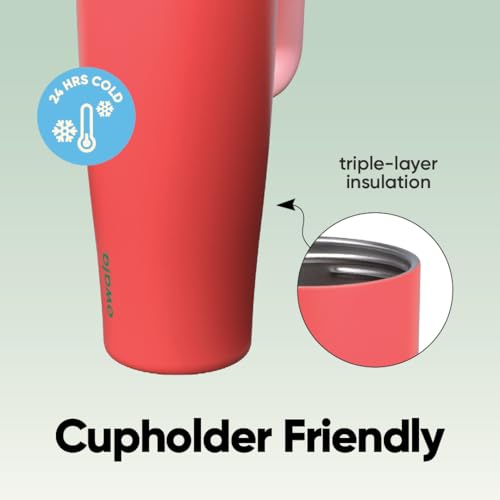 FreeSip Tumbler Stainless Steel Water Bottle 40 oz Strawberry Fields (Strawberry Fields / 40 Ounces)