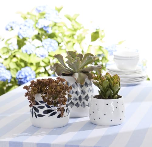 Blue Bay 3 Piece Canister Set with Lid (Canisters, Set of 3)