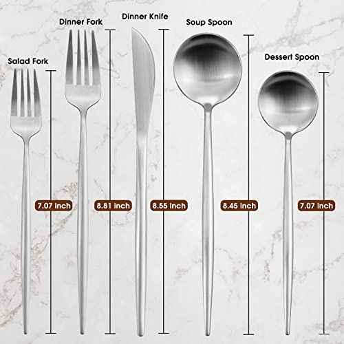 20 Piece Stainless Steel Silverware Set