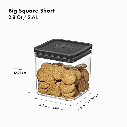 Good Grips POP Container (2.8 Qt (Pack of 1) / Matte Black)