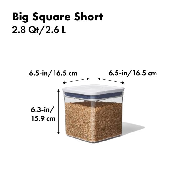 Good Grips POP Container (2.8 Qt (Pack of 1) / White)