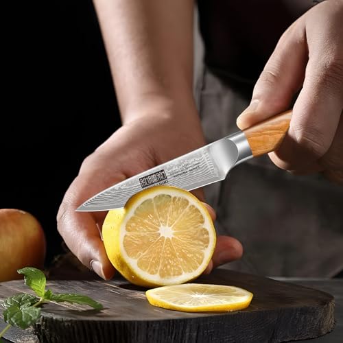 Damascus Kitchen Knife Set 3PCS (3 Count)