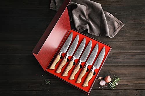 6PCS Kitchen Knife Set Professional Forged Damascus High Carbon Steel Steak Knife Figured Sycamore Wood Handle (6 Count)