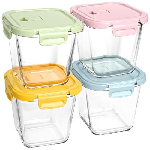 Borosilicate Glass Soup Containers with Lids (Multicolor)