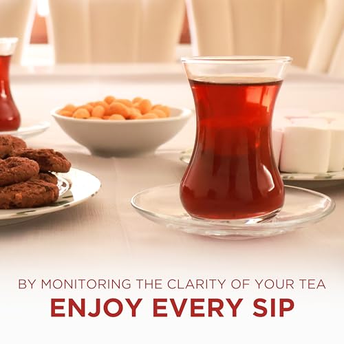 Turkish Tea Glass Set of 6 with Saucers (6 Count)