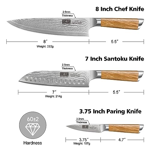 Damascus Kitchen Knife Set 3PCS (3 Count)