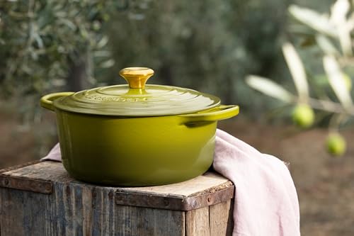 Enameled Cast Iron Round Dutch Oven