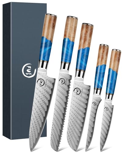 5 Piece Damascus Knife Set