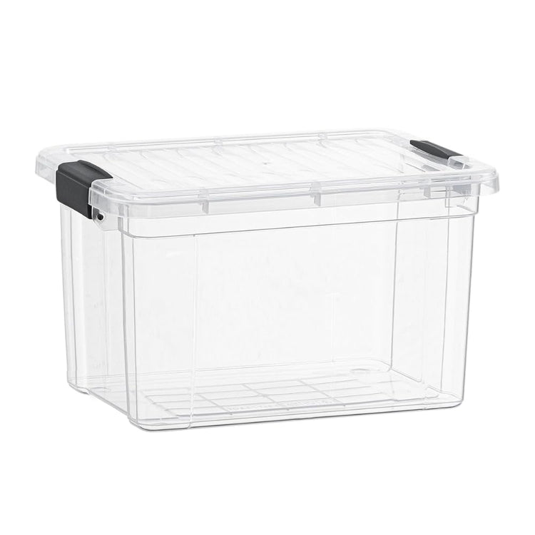Small Clear Storage Boxes with Lids (4 Count)