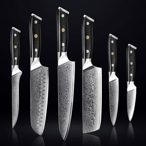 SENKEN 6 Piece Damascus Steel Kitchen Knife Set (6 Count)