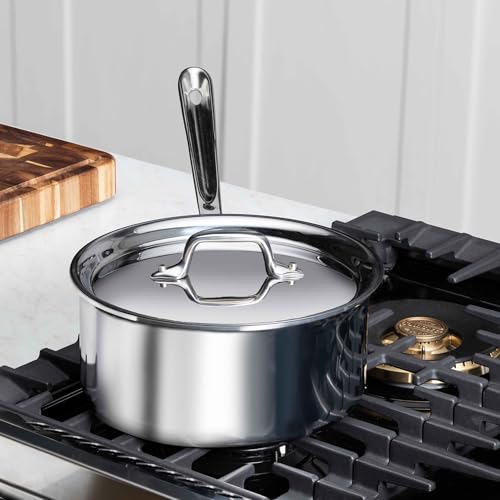 D3 Stainless Steel 1 Qt Saucepan with Lid