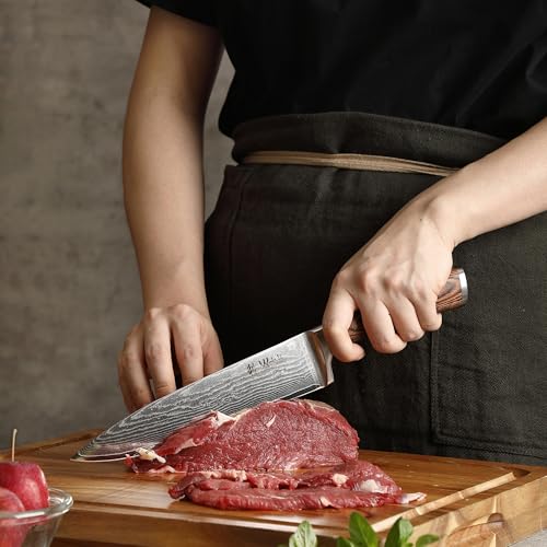 EDIB 6 Pcs Damascus Kitchen Knife Set with Magnetic Block