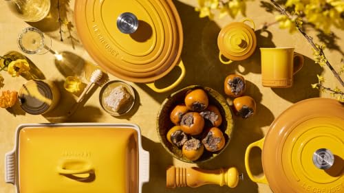 Enameled Cast Iron Oval Dutch Oven