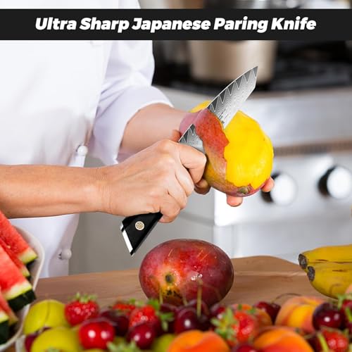 Damascus Paring Knife