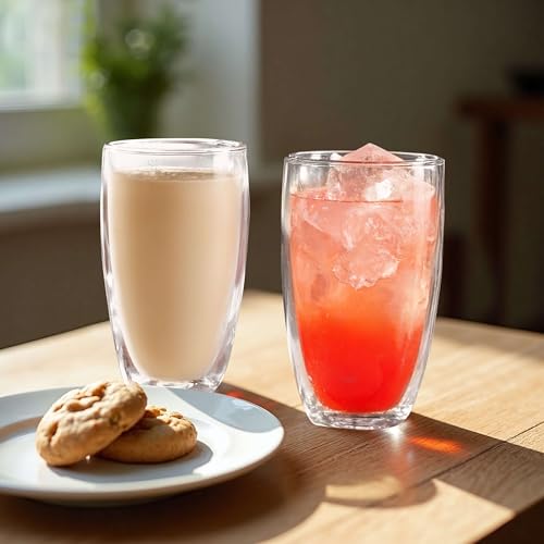 17oz Double Walled Glass Coffee Mugs (17 Ounces)