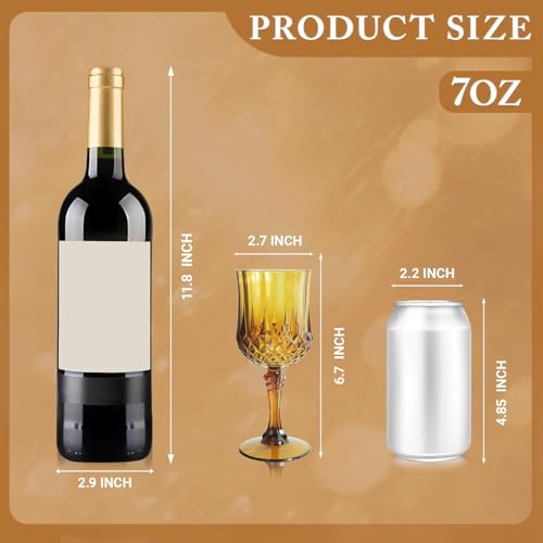 100Pack Plastic Wine Glasses (100 Count)