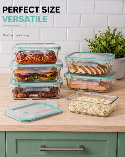 10 Pack Borosilicate Glass Food Storage Containers Set with Airtight Lids (Plastic Lids / 10 Pack)