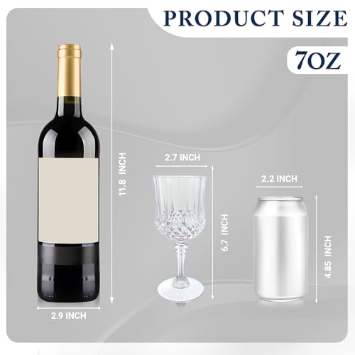100Pack Plastic Wine Glasses (100 Count)