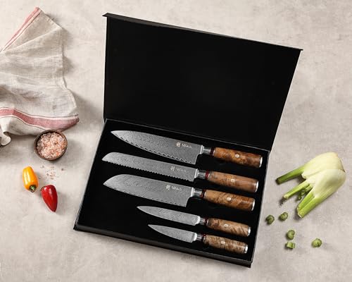 5 Piece Damascus Kitchen Knife Set with Magnetic Block (5 Count)