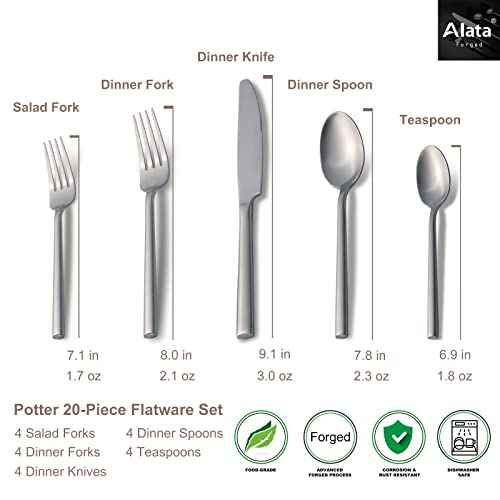 Potter 20 Piece Forged Silverware Set (12.5 Count)