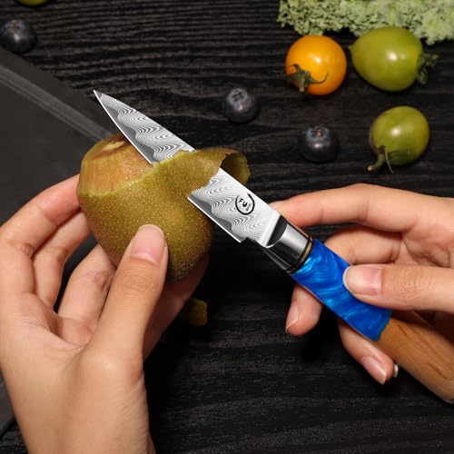 3.5 Inch Damascus Paring Knife