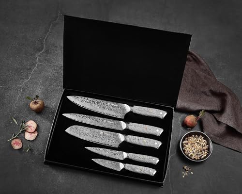 Noir Blanc VG10 Damascus Knife Block Set