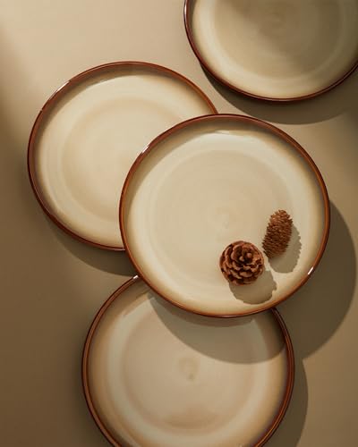 Ceramic Dinnerware Sets for 6