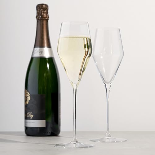 Definition Champagne Flutes (8.8 Count)