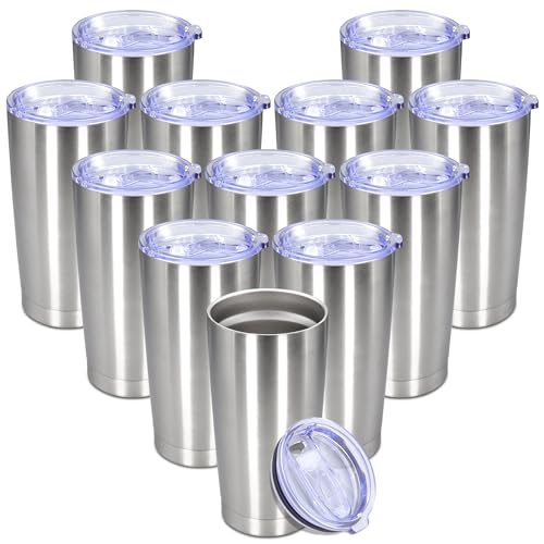 20 oz Tumbler Insulated Tumblers Stainless Steel Coffee Mug (Stainless Steel)