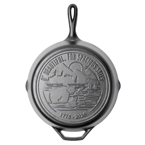 Pre Seasoned Cast Iron Skillet (12 Inch)