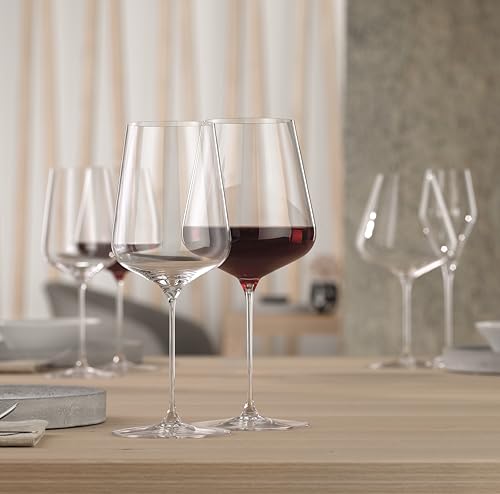 Definition Crystal Universal Wine Glasses for Red and White Wines (2 Count)
