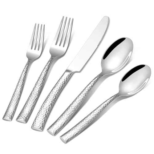 20 Piece Silverware Set (20 Count)