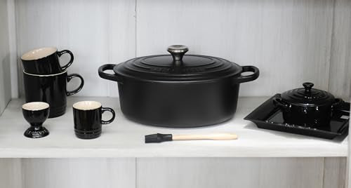 Enameled Cast Iron Oval Dutch Oven