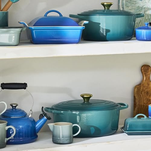 Enameled Cast Iron Oval Dutch Oven