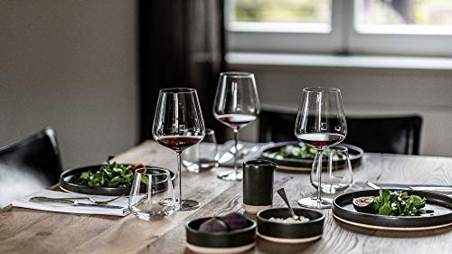 Zwiesel Glas Tritan Vervino Collection (6 Count)