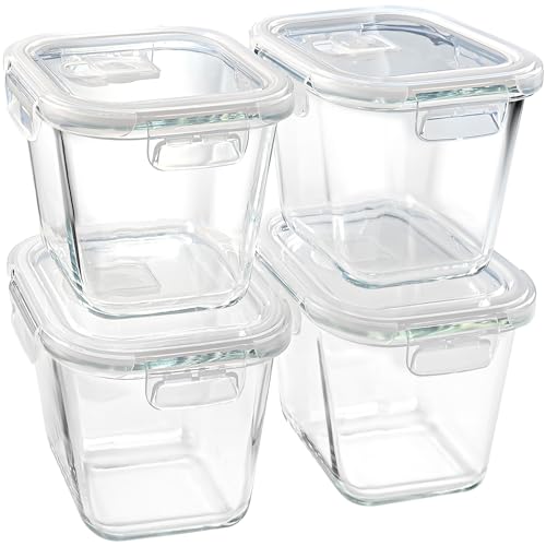 Borosilicate Glass Soup Containers with Lids (Transparent4)