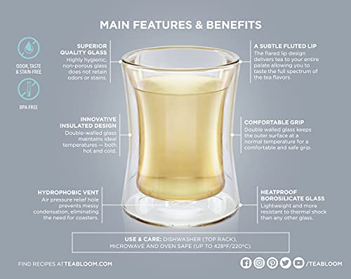 Modern Insulated Turkish Tea Glasses