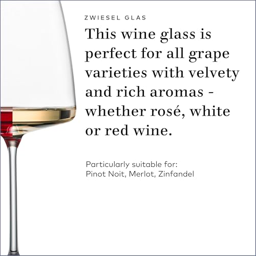 Sensa Burgundy Red Wine Glass (6 Count)