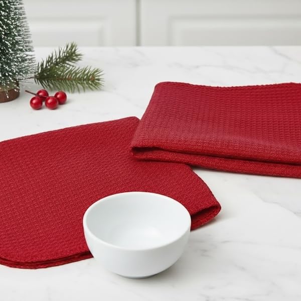 Dish Cloths and Dish Rags