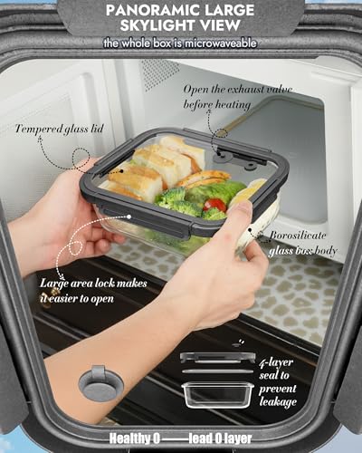 12 Pack Glass Containers with Tempered Lids (Tempered Lids Gray / 12 mixed sizes)