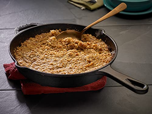 Pre Seasoned Cast Iron Skillet (10.25-Inch (1-Pack) / Black)