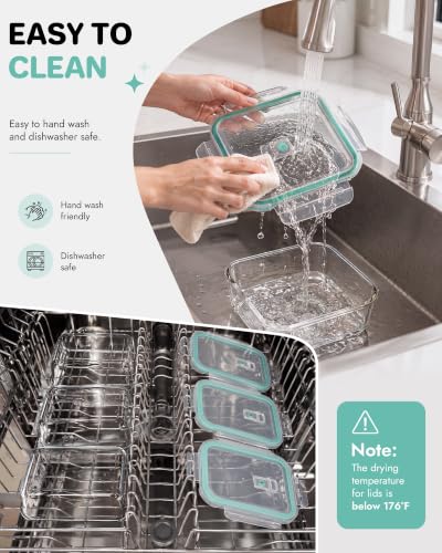 10 Pack Borosilicate Glass Food Storage Containers Set with Airtight Lids (Plastic Lids / 10 Pack)