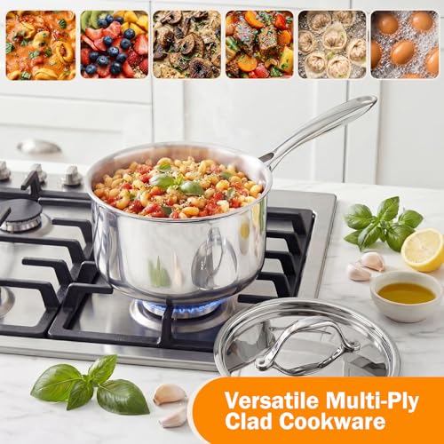 Multi Ply Clad Stainless Steel Pots and Pans Set (10 Count)