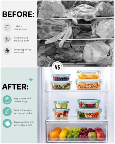 10 Pack Borosilicate Glass Food Storage Containers Set with Airtight Lids (Plastic Lids / 10 Pack)