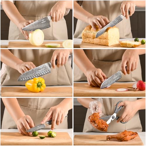 7 Piece Damascus Knife Set with Block (7 Count)