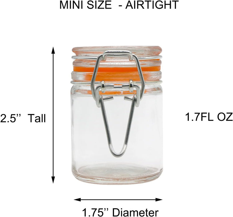 1.7 oz Mini Glass Spice Bottles, 24 Pack Small Glass Jars with Airtight Lid and Leak Proof Rubber Gasket, Empty Spice Containers with Labels for Home and Kitchen