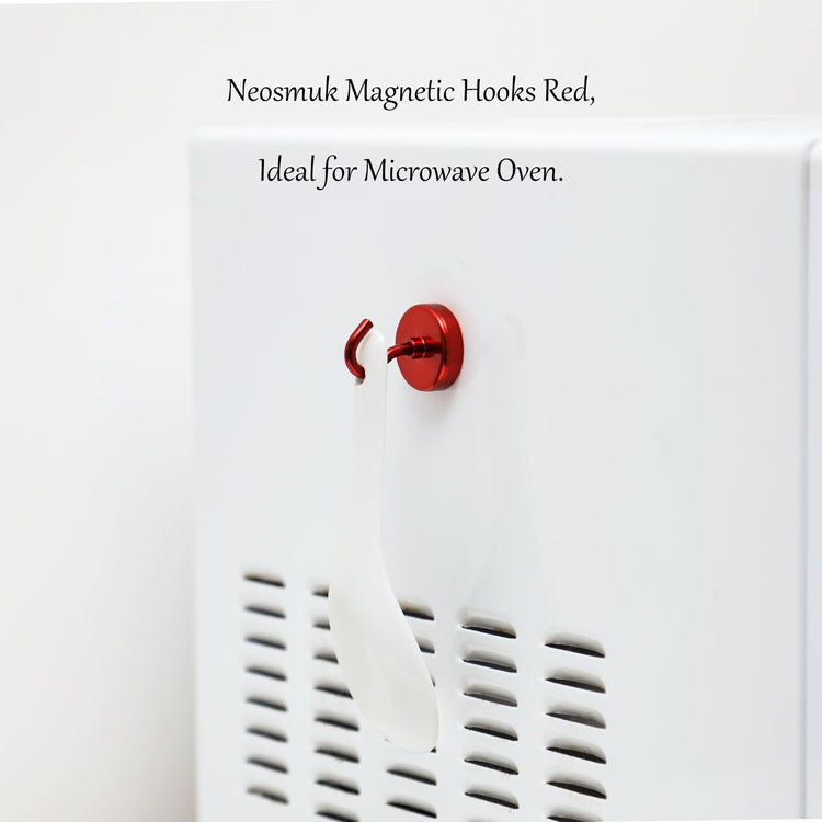 Magnetic Hooks (10 Count)