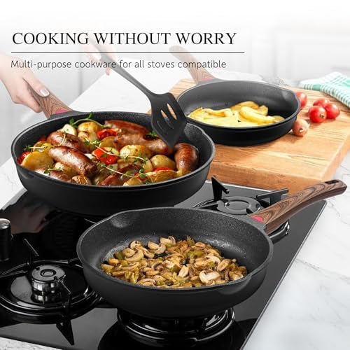 9.5 Inch Nonstick Frying Pan with Lid