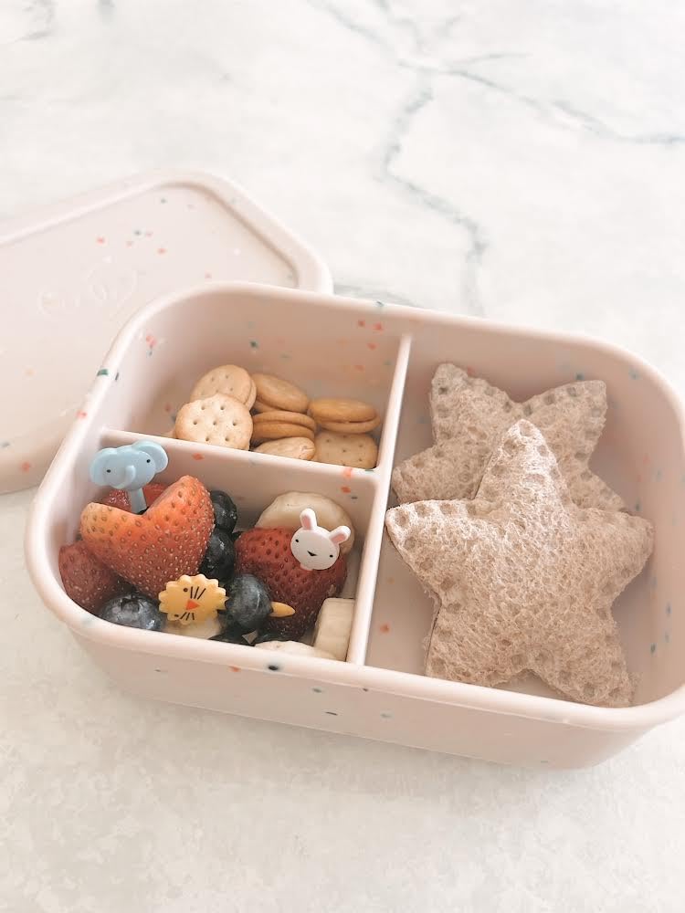 Kids Bento Box
